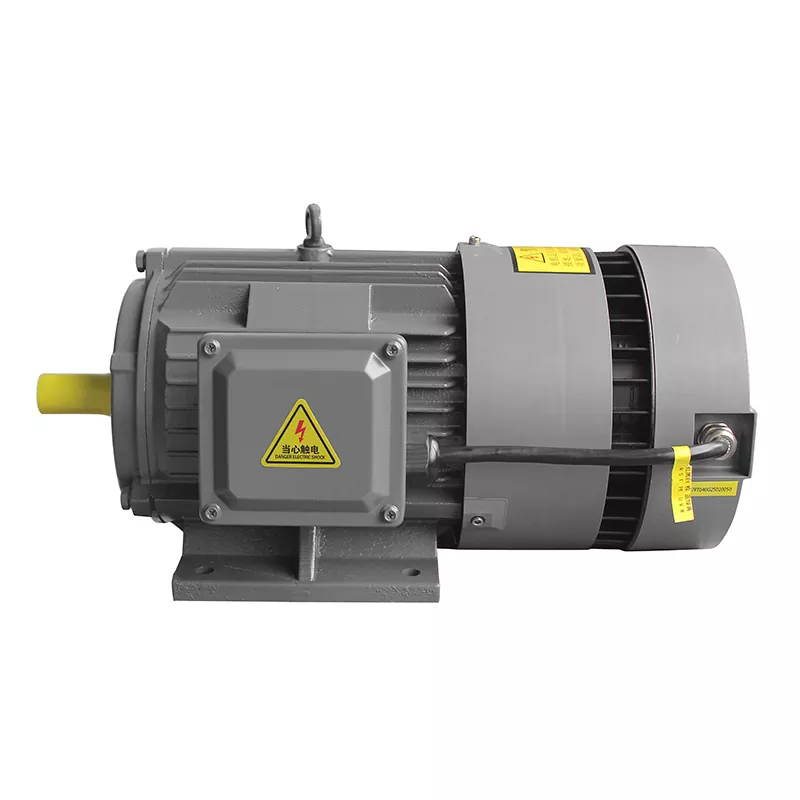 PMSM cu frecvență variabilă integrată: viitorul motoarelor electrice