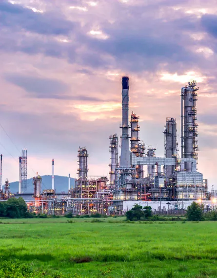 Motoare electrice utilizate în prelucrarea chimică